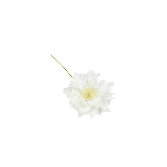 FIORE C PISTILLI 5CM PANNA
